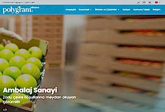 Polygram Web Design