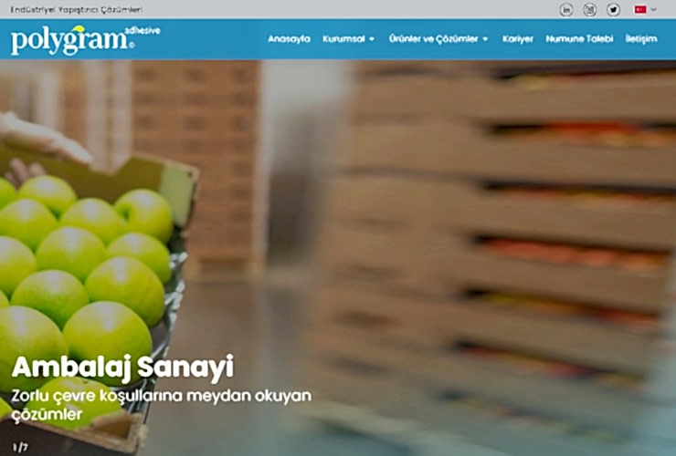 Polygram Web Design